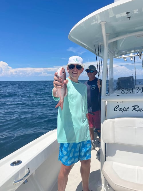 Dolphin Spotting and Fishing