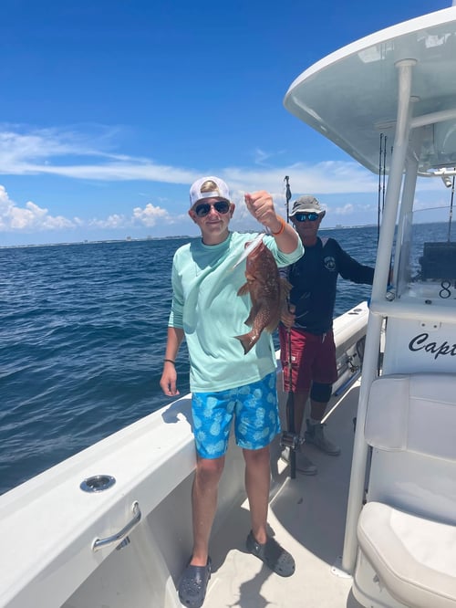 Dolphin Spotting and Fishing