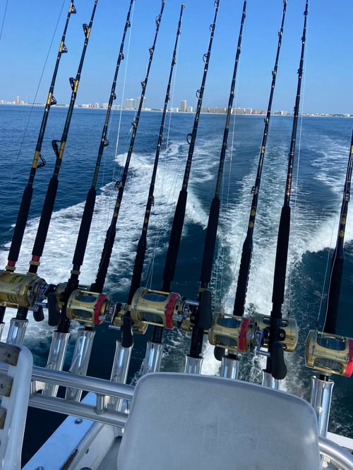 Orange Beach Bottom Fishing