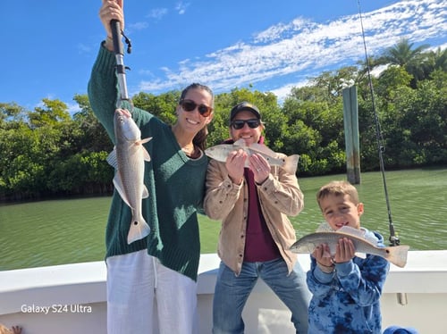 All-Day Inshore Action