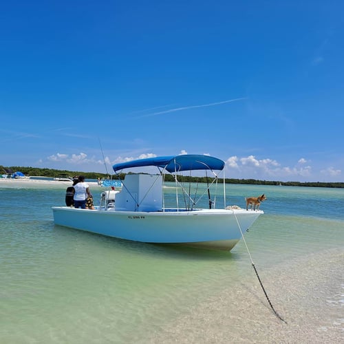 All-Day Inshore Action