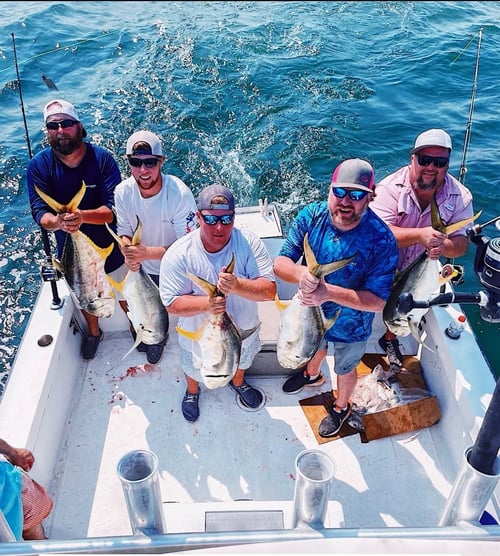 Biloxi Nearshore Variety Trip