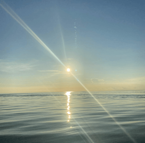 Half Day Inshore - 22' Epic
