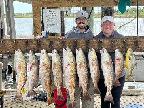 Matagorda Bay Shallows