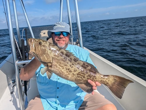 4-8 Hour Fishing Trip