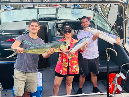 Extended Half Day Offshore Big Game Trip