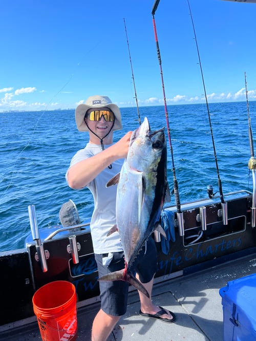 Blackfin Tuna Fishing in Miami, Florida