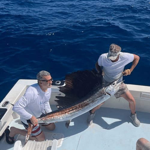 Ultimate Offshore Thrills