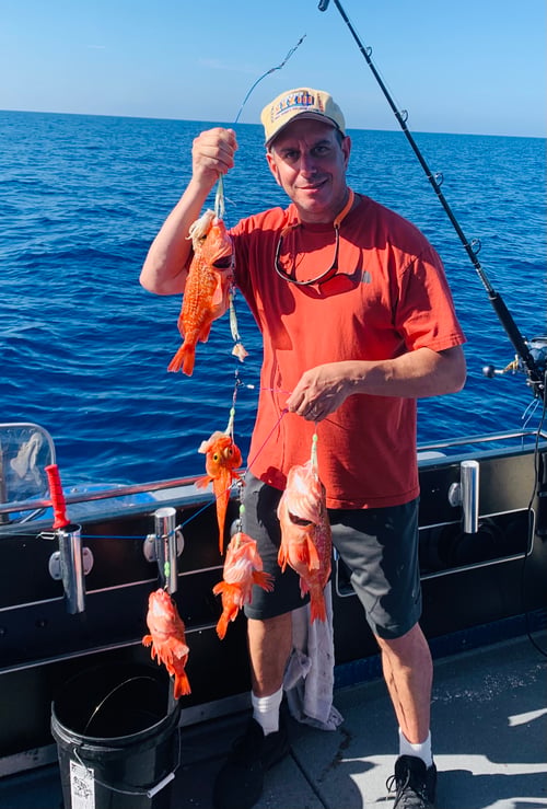 Deep Sea Deep Dropping for Black Belly Rosefish