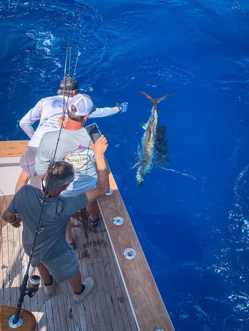 Ultimate Angler's Paradise