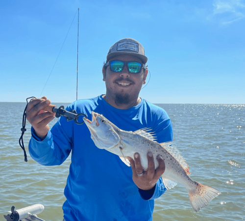 Matagorda "Texas Trio"