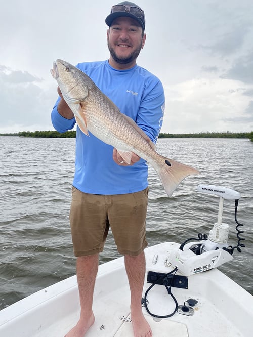 Shark Trip - 26' Sea Chaser