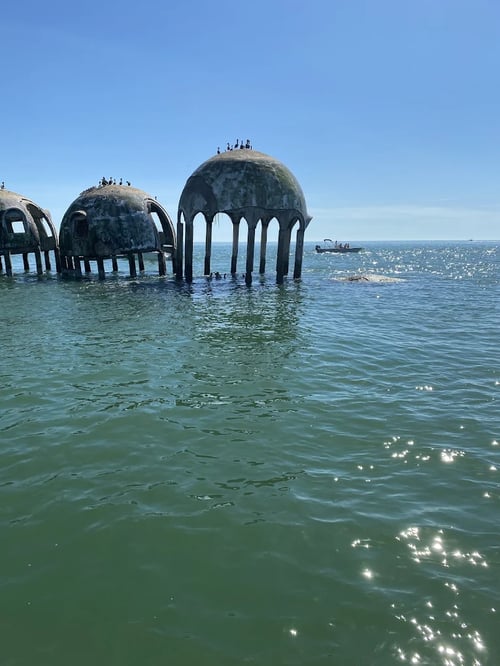 Shark Trip - 26' Sea Chaser