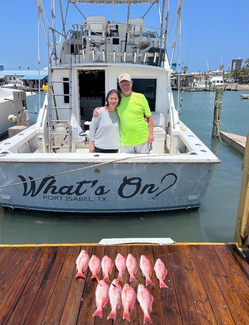 Full Day in South Padre