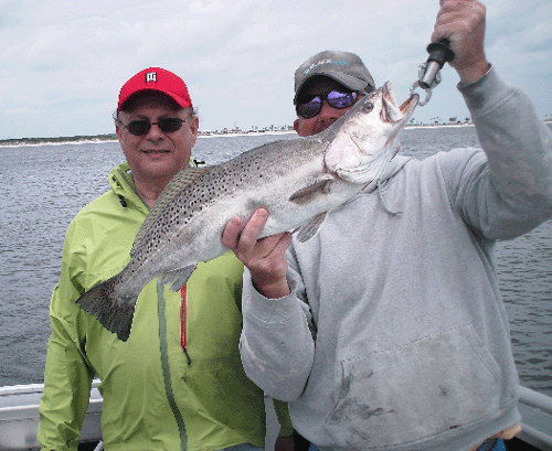 Speckled Trout Fishing in Jacksonville, Florida