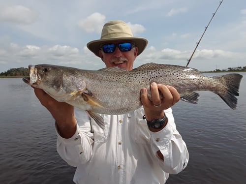 Epic Jacksonville Jetty Trip / 6 hr.