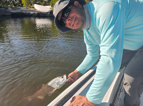 Nighttime Tarpon Adventure