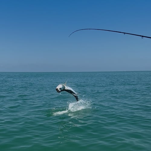 Nighttime Tarpon Adventure