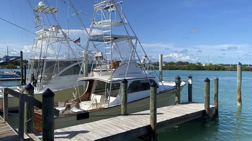 Reef to Offshore: Fishing Frenzy