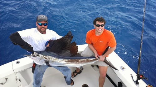 Extended Day Swordfish Chase