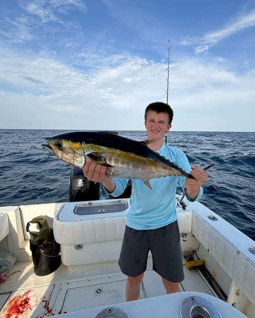 Deep Dropping - 30' Dusky