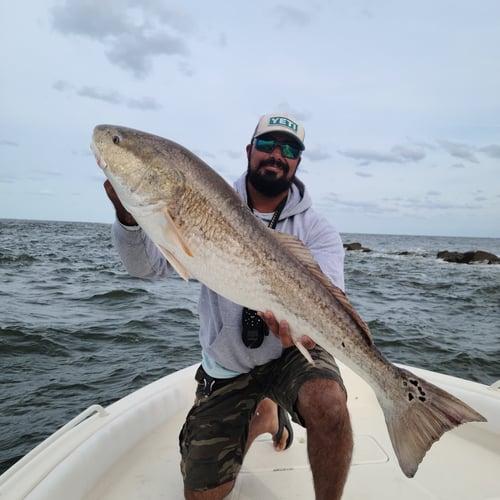 Key Largo Bays and Backcountry