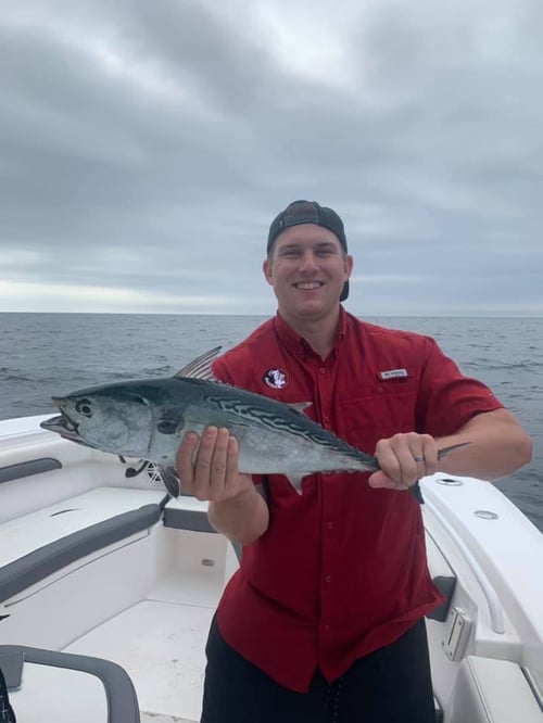 All-Day Offshore Trolling