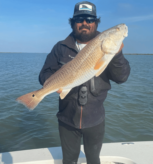 POC Fishing Frenzy