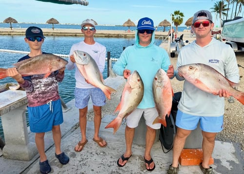 Lower Keys Reef & Wreck Adventure