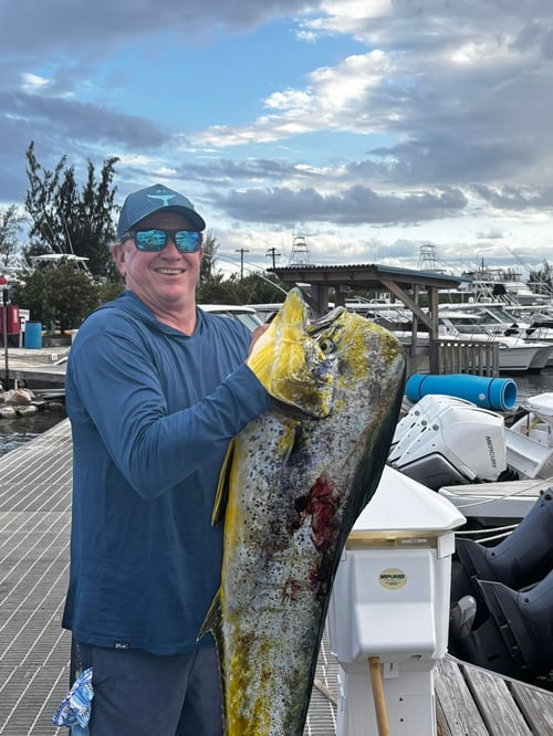 Extreme Reef Trip - 26' Twin Vee