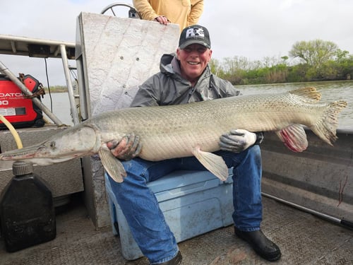 Alligator Gar on Rod & Reel