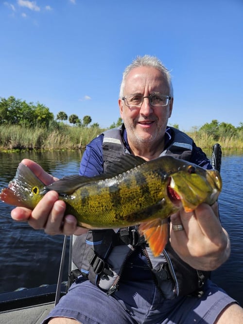 Peacock Bass Fishing in Fort Lauderdale, Florida