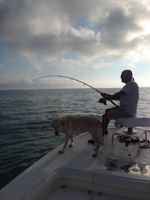 Tarpon Trip - 25’ Sea Born FX25