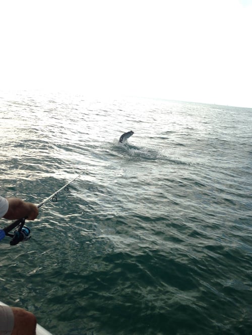 Tarpon Trip - 25’ Sea Born FX25