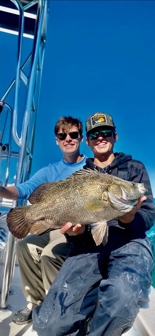 Sarasota Inshore/Nearshore