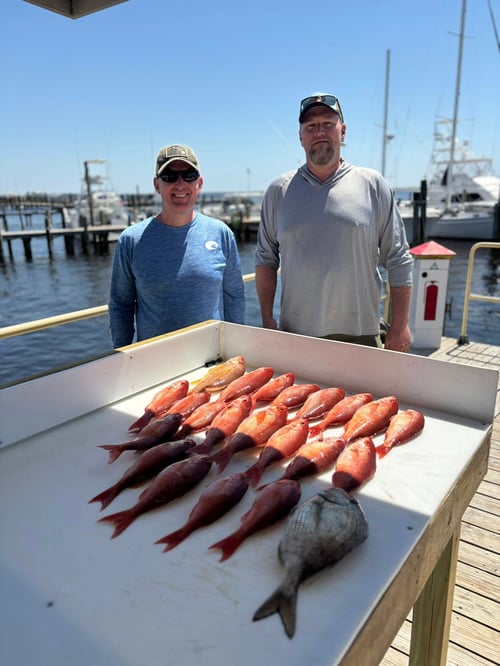 Snapper Trip - 33' World Cat