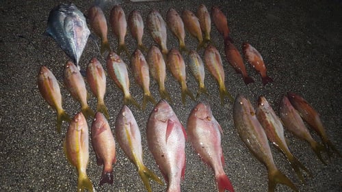 Nighttime Fishing Adventure