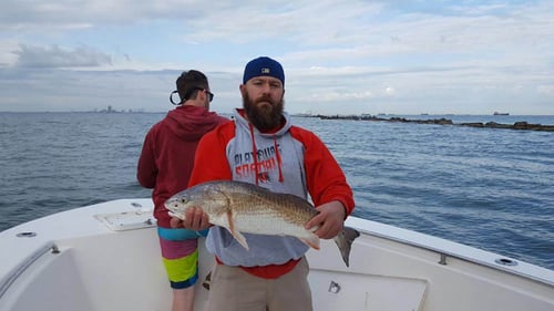 Galveston Bays & Jetties
