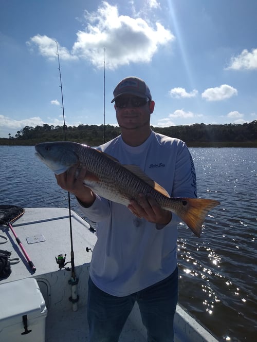Inshore Adventure - 19' Polarized