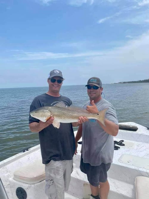 Gulf Shores Trolling Trip - 34' Bonner