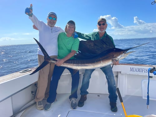 Morning Half Day 60' Hatteras
