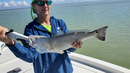 Everglades Inshore Trip