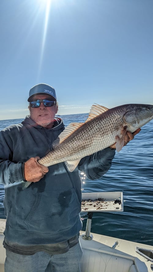 VA Beach Nearshore Action