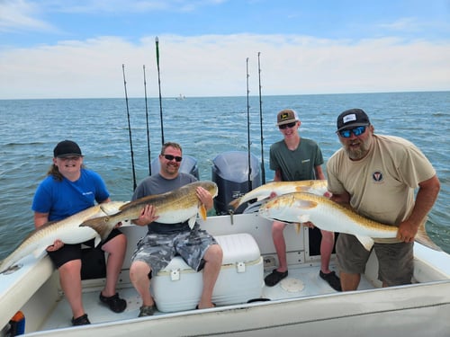 Chesapeake Bay Fishing Trip