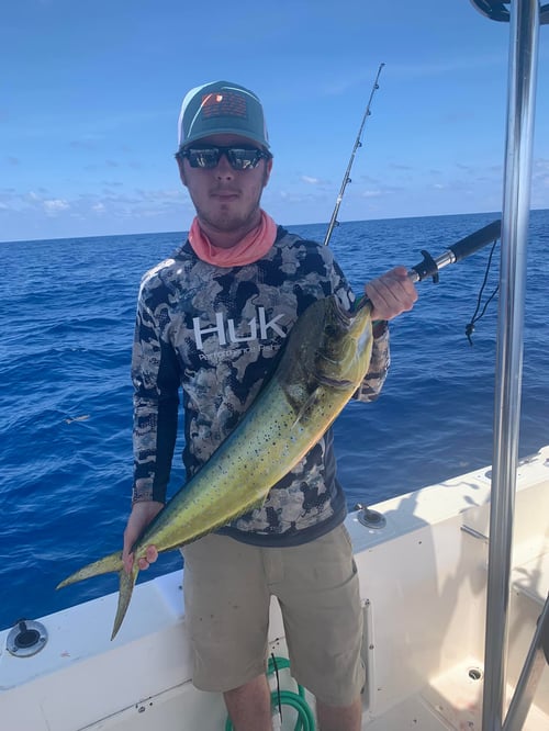 12 Hour Blue water - 25' SeaCat