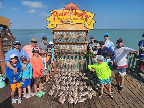 Half-day - 21’ Shallow Stalker