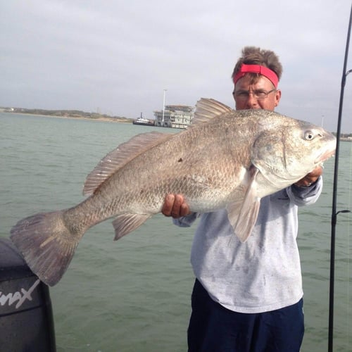 Black Drum Fishing in Port Aransas, Texas
