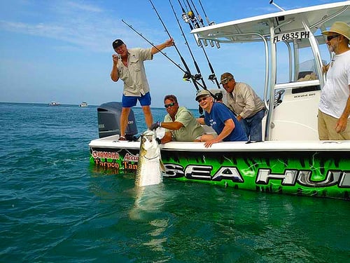 Tarpon Adventure in South Florida