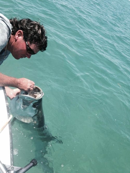 Tarpon Fishing in Islamorada, Florida