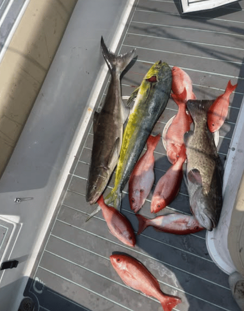 Offshore Reef Fishing